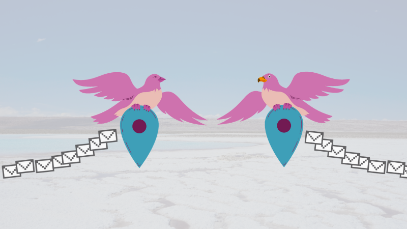 Two pink birds with strings of emails beneath them. Image by Liz Carrigan and Safa, with visual elements from Alessandro Cripsta, used with permission.