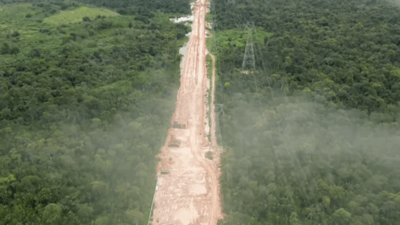 Parts of the Amazon rainforest were felled to build infrastructure for COP30.